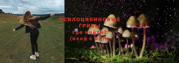 мяу мяу кристалл Новозыбков