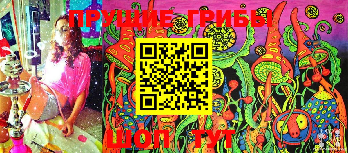 Псилоцибиновые грибы GOLDEN TEACHER  Вход с VPN  Северодвинск  Галлюциногенные грибы GOLDEN TEACHER 